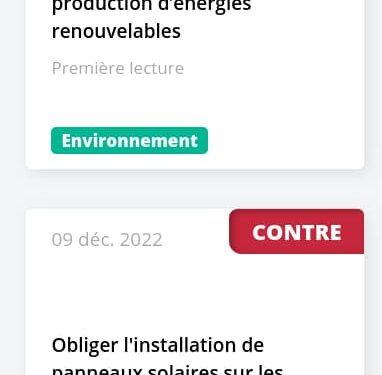 Screenshot 2024 06 12 at 17 35 53 Groupe Rassemblement National Votes Datan